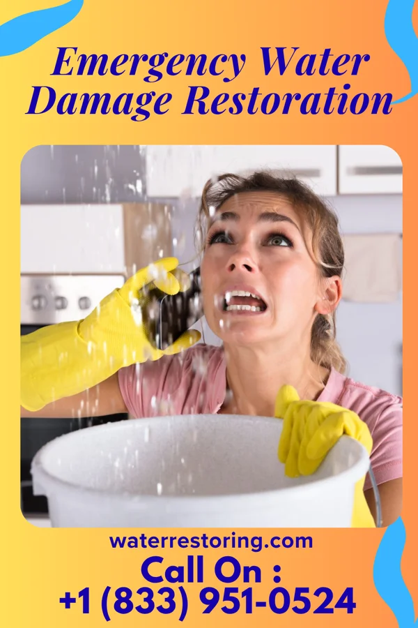 Emergency Water Damage Restoration in Rosedale, IN