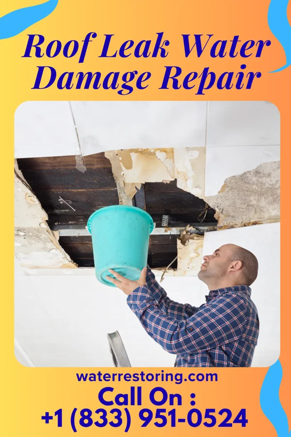 Roof Leak Water Damage Repair in Rosedale, IN