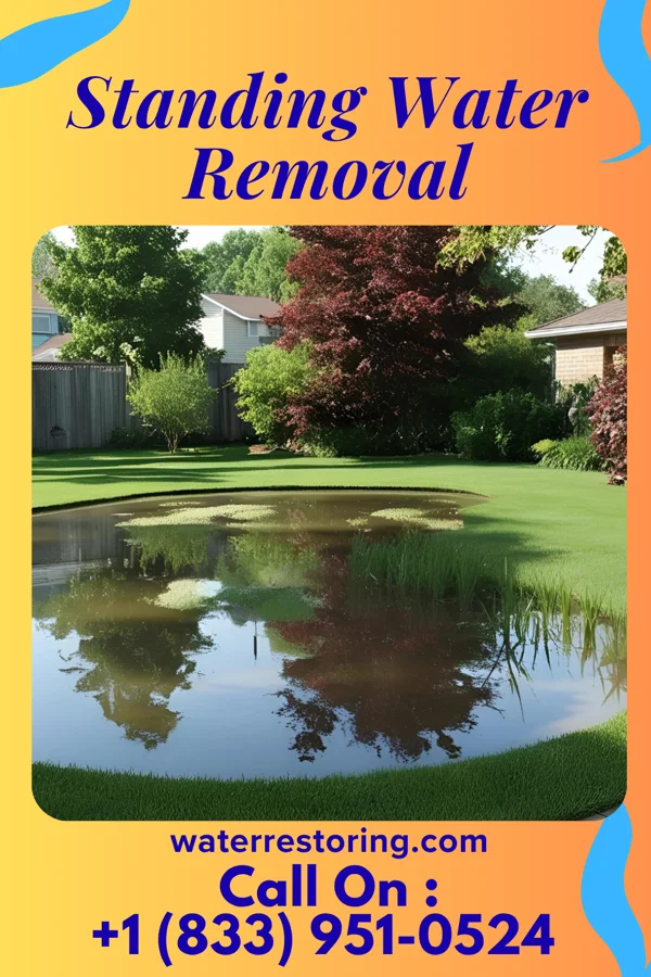 Standing Water Removal in Rosedale, IN